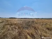 Teren Podari / Fabrica de mobila / 4600 mp / Intravilan 