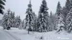 Teren 10,75 ari, intravilan Colibita, cu utilitati