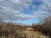 Comision 0 - Teren intravilan Prundu - Bananai - 2939 mp 