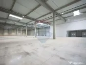 Hală de vânzare, Sc 7014mp, Zona Biharia 