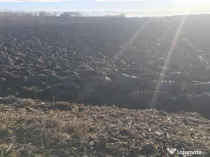 Teren intravilan, 2600mp str Horodnicului, Radauti