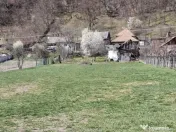 Teren 1250m Stirbei Vodă 