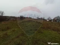 Teren de vanzare in Pielesti