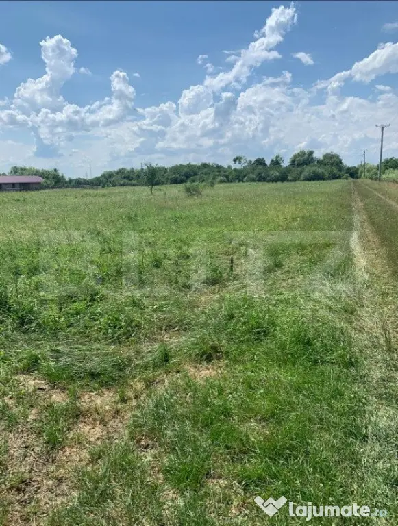 Teren Extravilan de Vânzare – 40 Ari – Strada Spicului