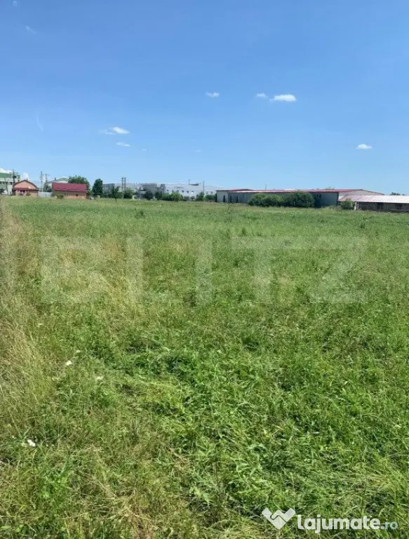 Teren Extravilan de Vânzare – 40 Ari – Strada Spicului