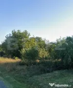 Teren 3994 mp, zona metropolitana Simnicul de Sus
