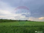 Teren Ciolpani 15.000 mp oportunitate posibilitate lotiza... 