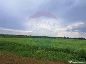 Teren Ciolpani 15.000 mp oportunitate posibilitate lotiza... 