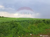 Teren Ciolpani 15.000 mp oportunitate posibilitate lotiza... 