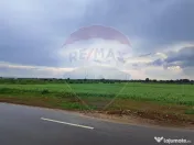 Teren Ciolpani 15.000 mp oportunitate posibilitate lotiza... 