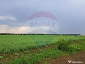 Teren Ciolpani 15.000 mp oportunitate posibilitate lotiza... 