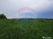 Teren Ciolpani 15.000 mp oportunitate posibilitate lotiza... 