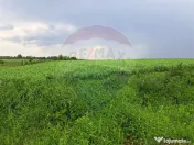 Teren Ciolpani 15.000 mp oportunitate posibilitate lotiza... 