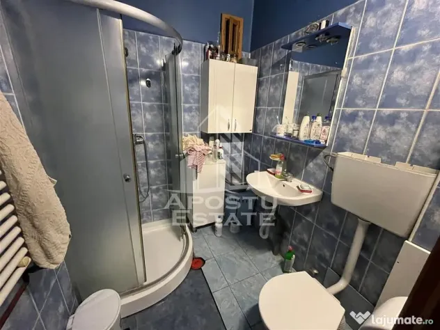 Casa in curte comuna cu acces separat langa Colegiul Banatean - Timisoara (Timis)