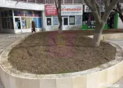 Inchiriem spatiu comercial Alexandria cu 7 eur/ mp/luna