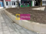 Ocazie ! spatiu comercial Alexandria 