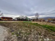 Teren intravilan /3211mp / Calea Bucuresti 