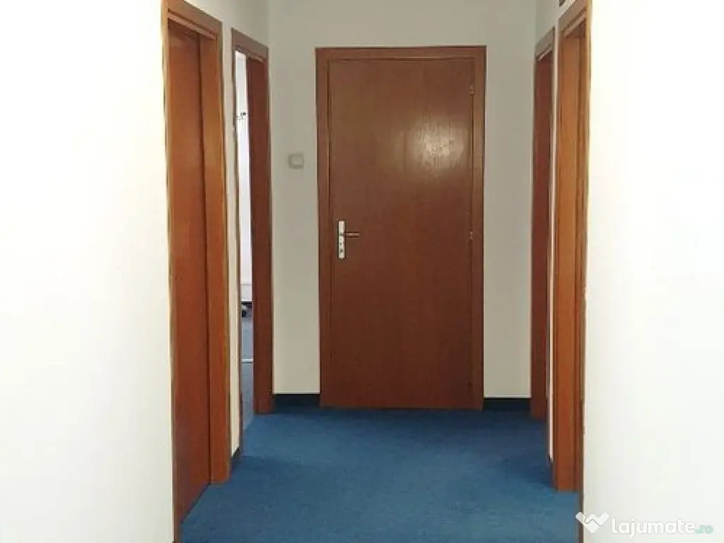 Spatiu birouri- Ion Mihalache- Ciuperca-Expozitiei