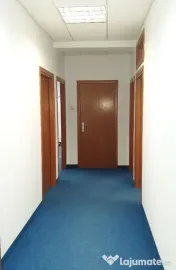 Spatiu birouri- Ion Mihalache- Ciuperca-Expozitiei 