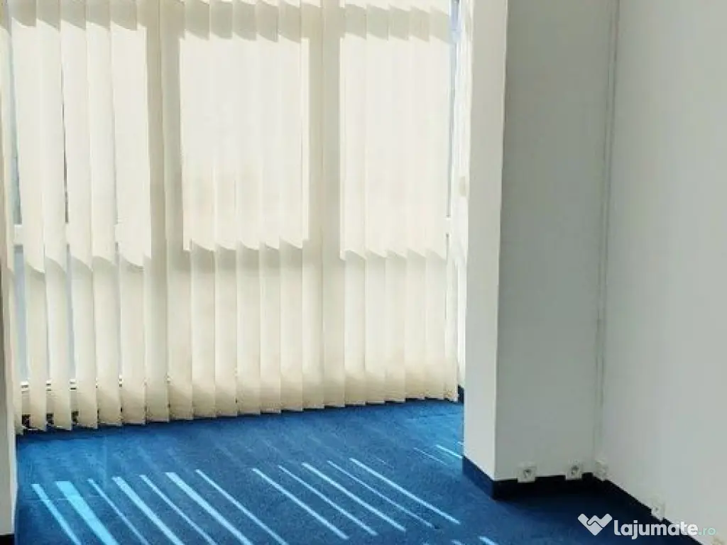 Spatiu birouri- Ion Mihalache- Ciuperca-Expozitiei