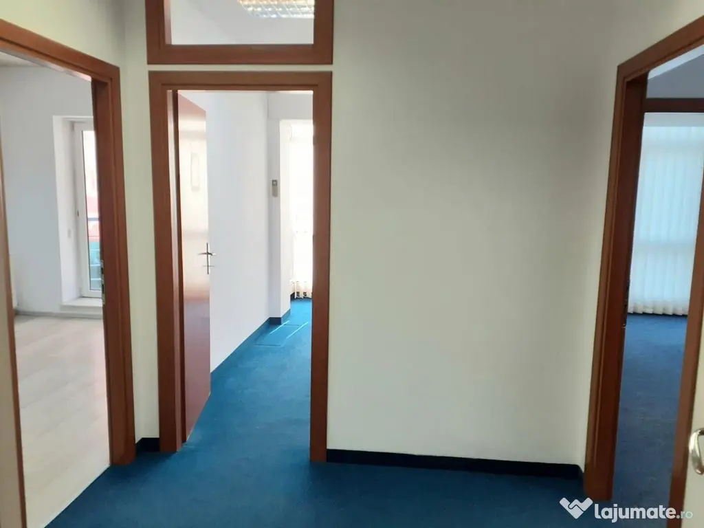 Spatiu birouri- Ion Mihalache- Ciuperca-Expozitiei