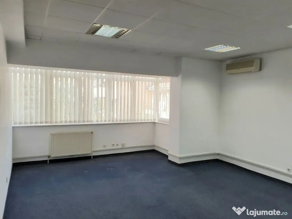 Spatiu birouri- Ion Mihalache- Ciuperca-Expozitiei