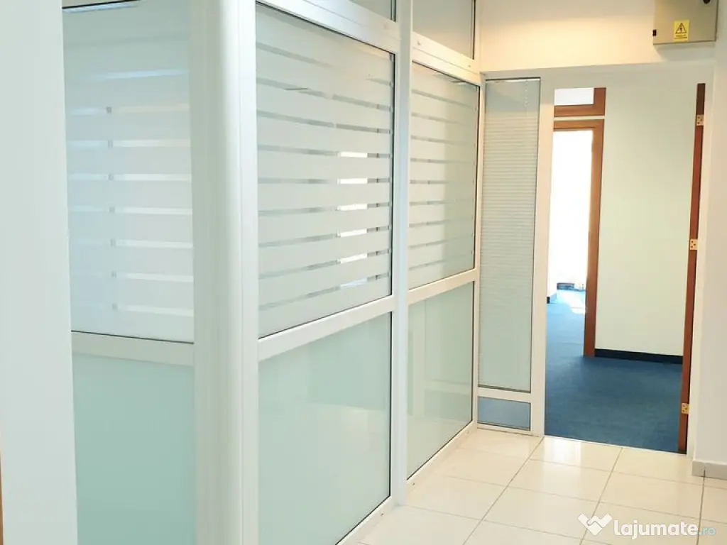 Spatiu birouri- Ion Mihalache- Ciuperca-Expozitiei