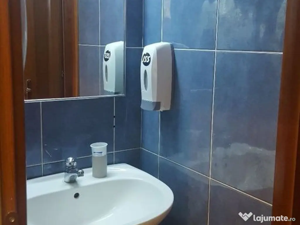 Spatiu birouri- Ion Mihalache- Ciuperca-Expozitiei