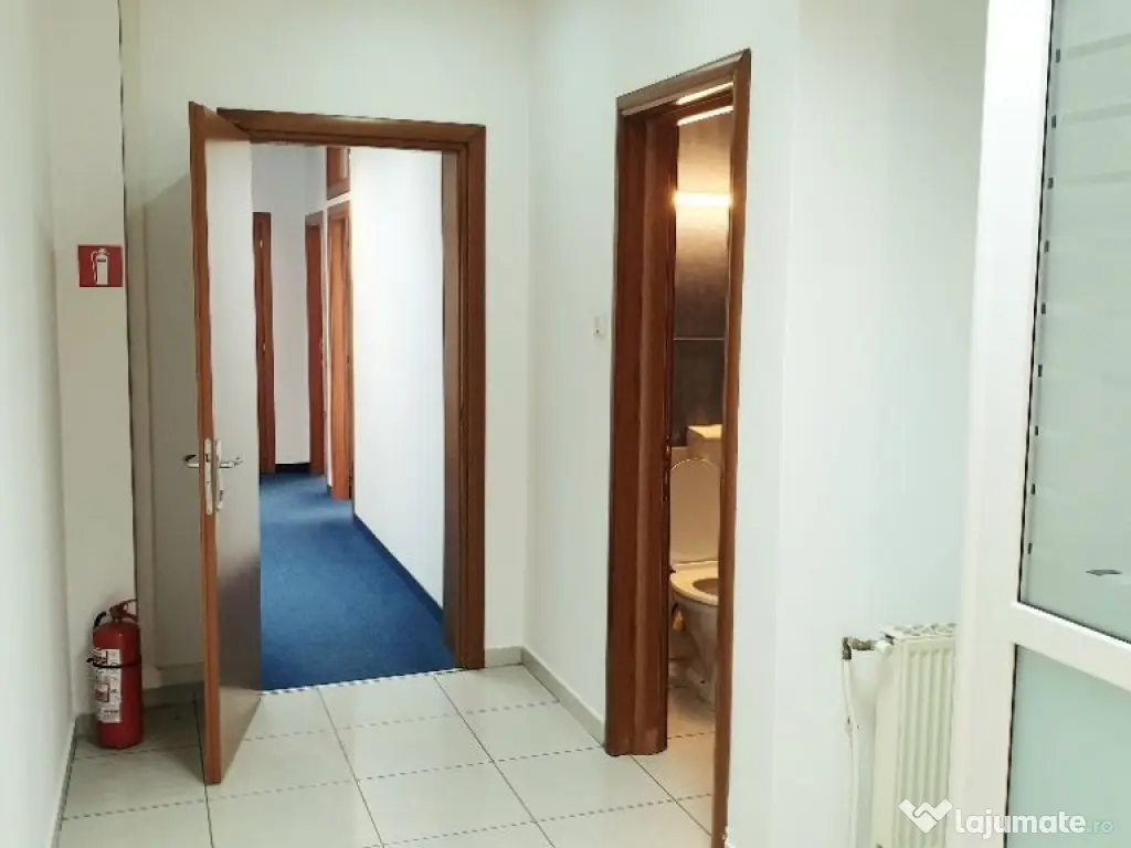 Spatiu birouri- Ion Mihalache- Ciuperca-Expozitiei
