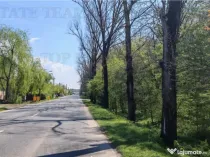 Teren constructii, 650 mp, langa padure, apa, gaze, curent,