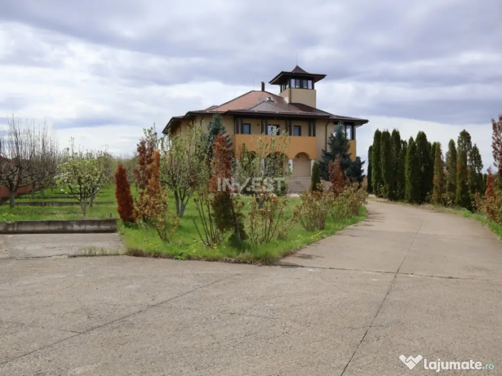 Proprietate spațioasă cu potențial turistic - Iași