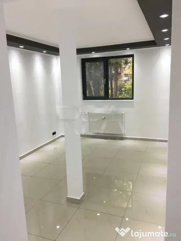 Spațiu Comercial Drumul Taberei – Vad Comercial Intens