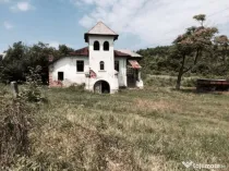 Conac boieresc + teren de 53.000 mp cu vita de vie