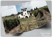 Conac boieresc + teren de 53.000 mp cu vita de vie 