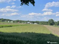 Teren extravilan, 4000mp, Fratautii vechi