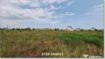 Teren de vanzare in Constanta, Veterani - 500 mp