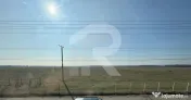 Gageni, casa care inseamna acasa, zona linistita, teren gene 