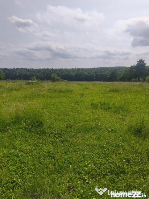 Casa + teren 2600mp, zona Horodnic de Sus, Radauti - Horodnic (Suceava)