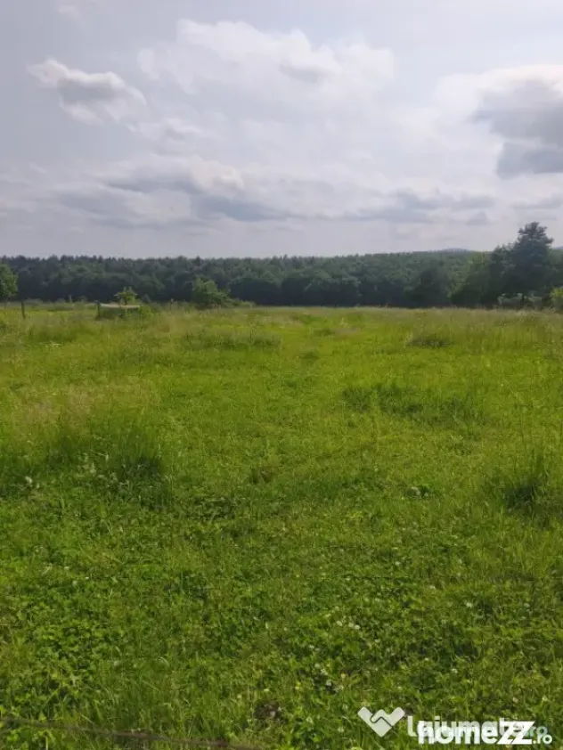 Casa + teren 2600mp, zona Horodnic de Sus, Radauti - Horodnic (Suceava)