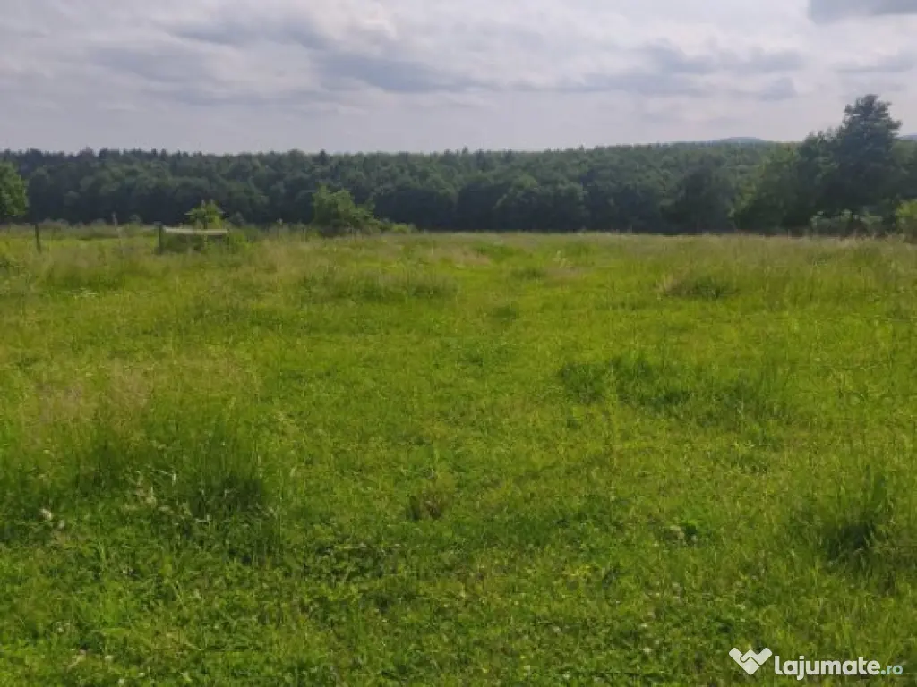 Casa + teren 2600mp, zona Horodnic de Sus, Radauti