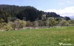 Teren intravilan în Vatra Dornei, 1299 mp