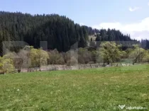 Teren intravilan în Vatra Dornei, 1299 mp