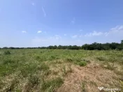 Teren De Vanzare - Oportunitate Investitie - Pretabil Hale/C 