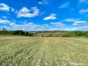 TEREN INTRAVILAN 5.995 MP | COMUNA SUMUGIU | BIHOR 