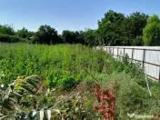 Movilita (IL)-teren de inch. 1800 mp stradal, 30 ml desch... 