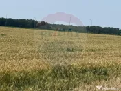 Vanzare Teren pentru dezvoltare mixta acces A0, Vadul Ane... 