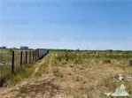 SUPER TEREN IDEAL INVESTITORI, 43000mp, intravilan construct