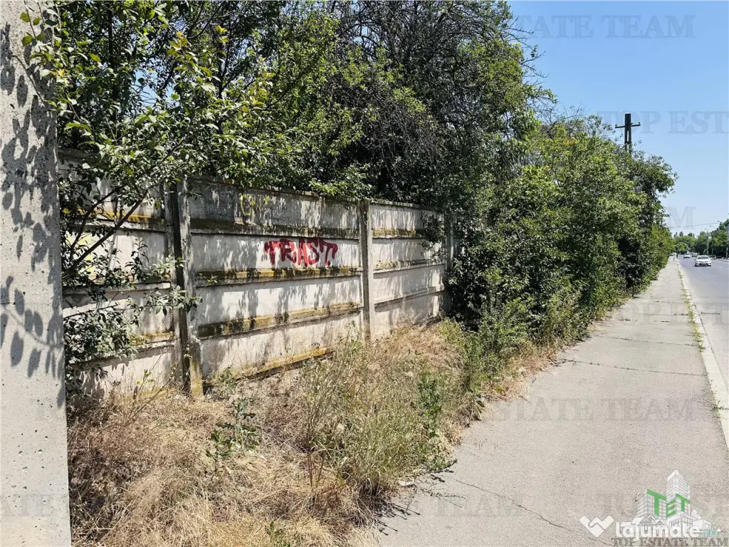 TEREN STRADAL GIULESTI, 50000 mp, la asfalt, intravilan, toa
