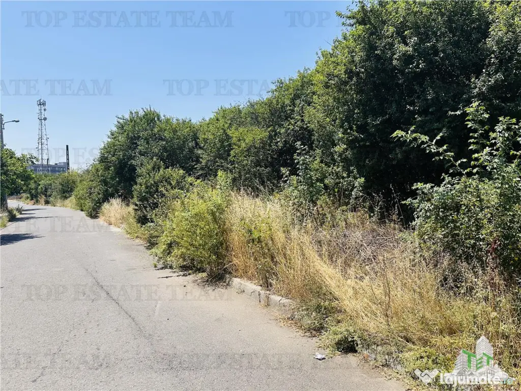 TEREN STRADAL GIULESTI, 50000 mp, la asfalt, intravilan, toa