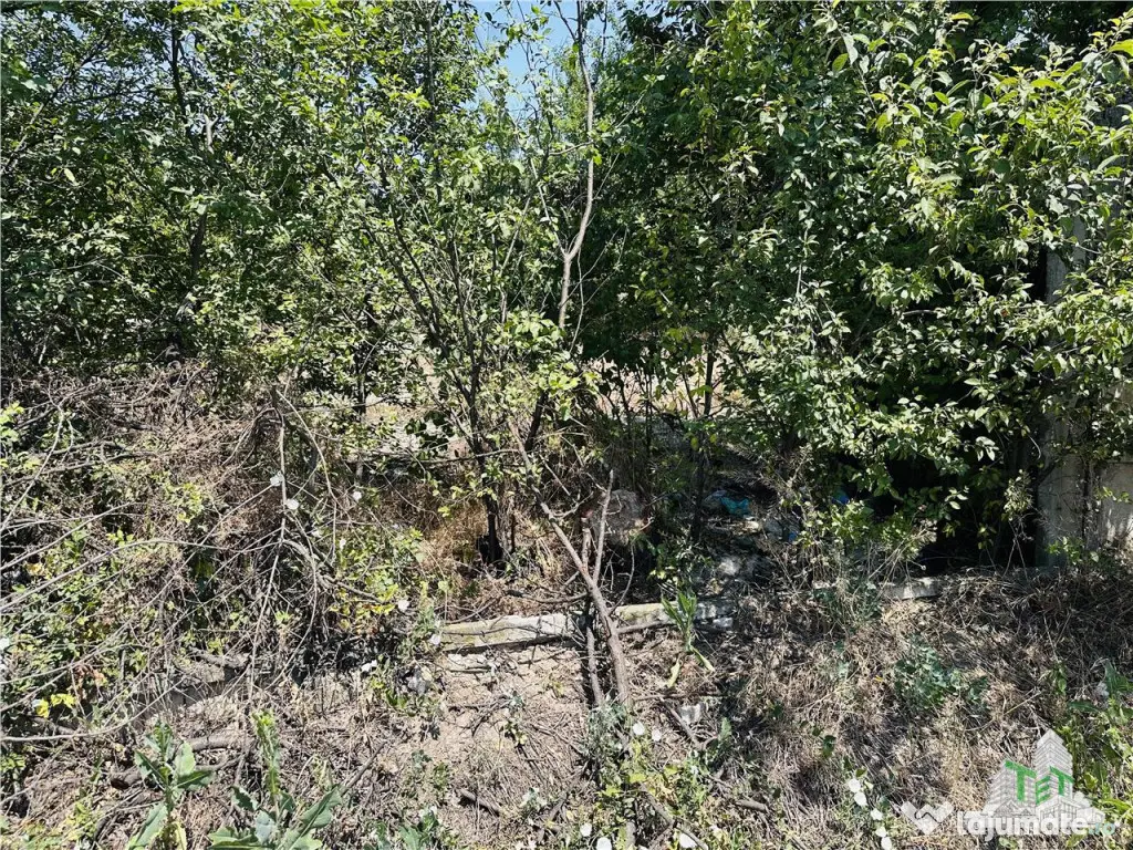 TEREN STRADAL GIULESTI, 50000 mp, la asfalt, intravilan, toa